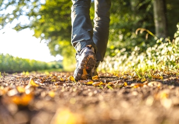 The Benefits of Regular Nature Walks